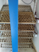 1,000 Auto Incubator matchine